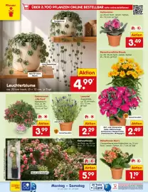 Netto Marken-Discount DE folder week 27 Pagina 20