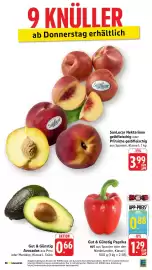 E-Center Prospekt Seite 43