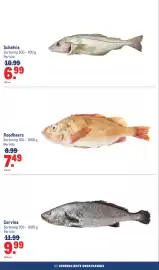 Makro folder | Food Pagina 38