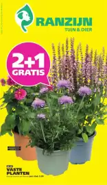 Ranzijn folder Pagina 1