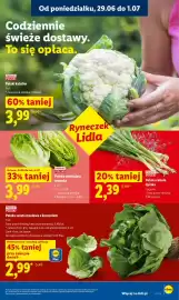 Lidl gazetka Strona 31