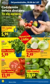 Lidl gazetka Strona 32