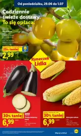 Lidl gazetka Strona 33