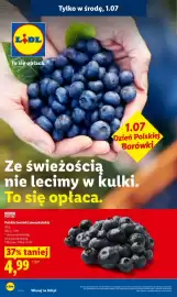 Lidl gazetka Strona 34