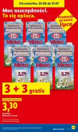 Lidl gazetka Strona 47
