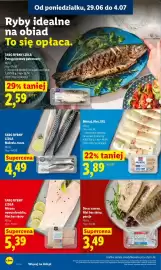 Lidl gazetka Strona 48