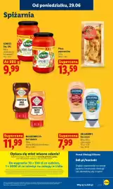 Lidl gazetka Strona 49