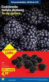 Lidl gazetka Strona 8