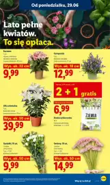 Lidl gazetka Strona 83