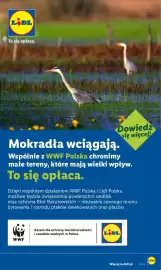 Lidl gazetka Strona 84