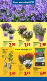 Lidl folder week 28 Pagina 17