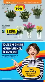 ALDI akciós újság hét 27 Oldal 15