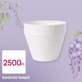 Pepco akciós újság Oldal 3