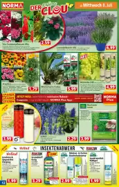 Norma Prospekt woche 28 Seite 12