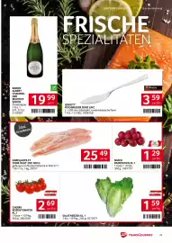 Transgourmet Flugblatt woche 28 Seite 23