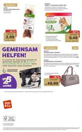 ZOO & Co Flugblatt woche 27 Seite 12