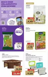 ZOO & Co Flugblatt woche 27 Seite 10
