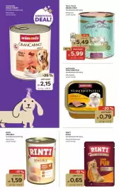 ZOO & Co Flugblatt woche 27 Seite 6