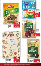 Catalog Kaufland săptămâna 27 Pagină 13