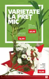 Catalog Kaufland săptămâna 27 Pagină 18