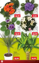 Catalog Kaufland săptămâna 27 Pagină 19