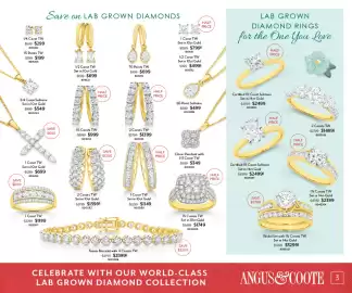 Angus & Coote catalogue Page 3