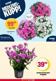 Coop Extra kundeavis Side 36