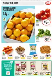 IGA catalogue week 27 Page 6