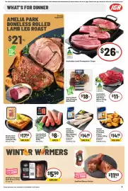 IGA catalogue week 27 Page 10