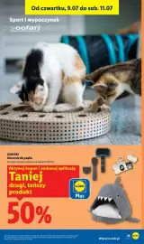 Lidl gazetka tydzień 28 Strona 45
