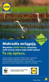 Lidl gazetka tydzień 28 Strona 60