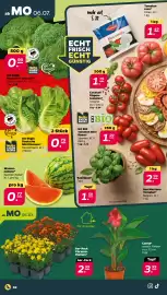 Netto Prospekt woche 28 Seite 2