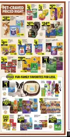 Dollar General weekly ad week 27 Page 15
