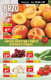 Biedronka gazetka tydzień 27 Strona 25