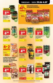 Biedronka gazetka tydzień 27 Strona 45