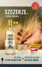 Biedronka gazetka Strona 22