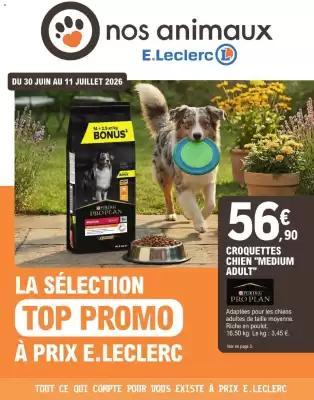 Catalogue E.Leclerc (valable jusqu'au 11-07)