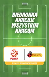 Biedronka gazetka Strona 5