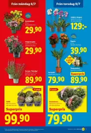 Lidl reklamblad vecka 28 Sida 20
