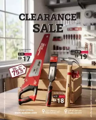 Ace (valid until 30-06)