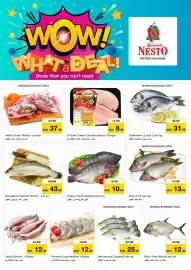 Nesto catalogue Page 11