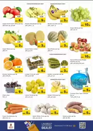 Nesto catalogue Page 12