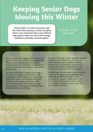 Pets Domain catalogue Page 14