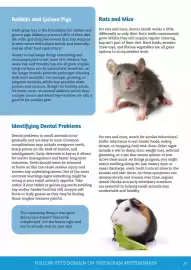 Pets Domain catalogue Page 27
