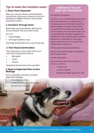 Pets Domain catalogue Page 31