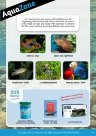 Pets Domain catalogue Page 39