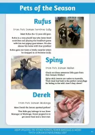Pets Domain catalogue Page 41