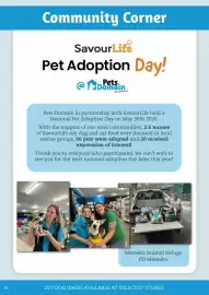 Pets Domain catalogue Page 42