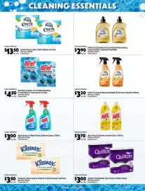 Campbells Wholesale catalogue Page 2
