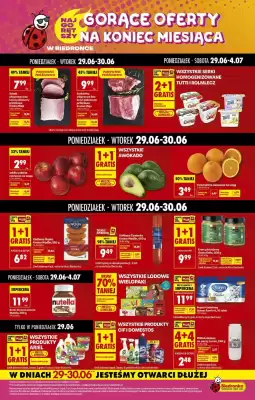 Biedronka gazetka (ważność do 30-06)